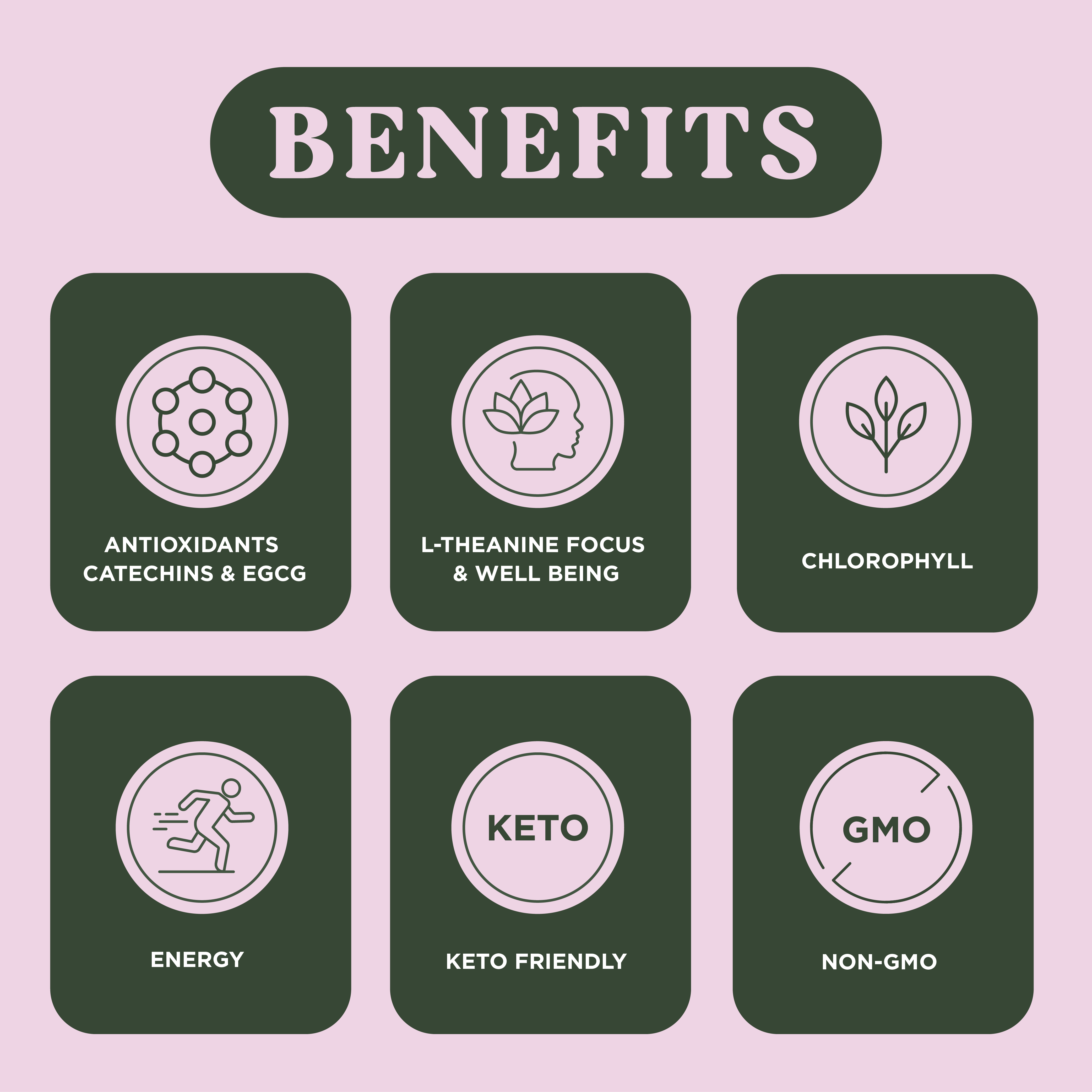 Harmony Matcha Pine – Premium Shade-Grown Japanese Matcha, Sweetened with Organic Sugar, 20 Servings