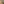 Caramel Latte